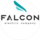 Falcon Electric Company (Фалкон Электрик Компани)