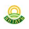 Янтарь УК