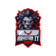 ARYSTAN IT GROUP