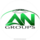 AN Groups