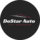 DoStar Auto