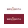 BesBota KZ