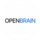 Open Brain