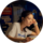 Nur
